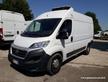 FIAT Ducato MH2 FRIGO FNAX GARANZIA [FR49]