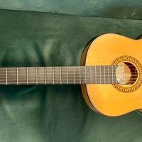 Salvator Cortez CF120 + Pick-up Lr Baggs Classical