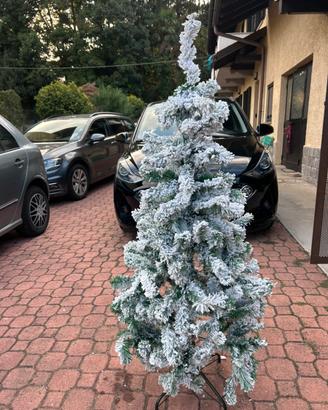 Albero di natale