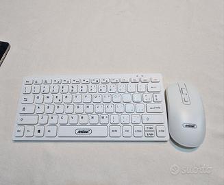 tastiera e mouse  wireless 