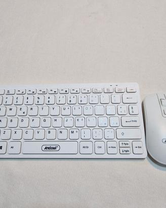 tastiera e mouse  wireless 