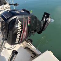 Fuoribordo Mercury 40/60 Pro