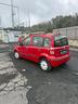 fiat-panda-lounge