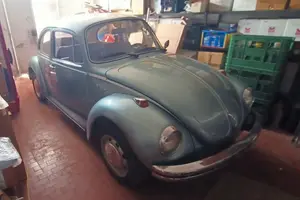 Maggiolino