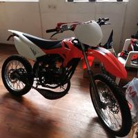 Beta rr 2017