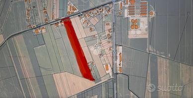 TER. AGRICOLO A SOLESINO