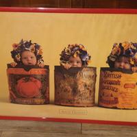 Stampa con cornice ANNE GEDDES 90x65