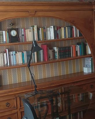 libreria in stile