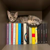 Una famiglia per Nami