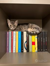 Una famiglia per Nami