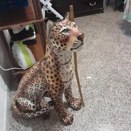 Leopardo anni 70