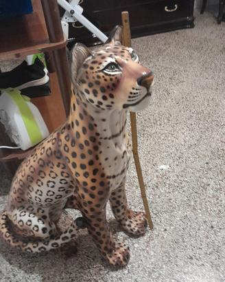 Leopardo anni 70