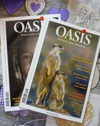 Collezione completa "Oasis" anni 80-90-2000