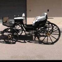 Carrozza d'epoca tutta restaurata