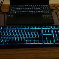 Razer Ornata V2 [No poggiapolso]