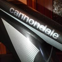 BICICLETTA ELETTRICA CANNONDALE