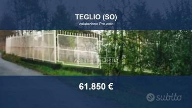 Immobile in asta di 4292 m² a Teglio