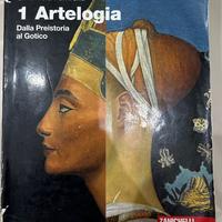 LIBRO ARTEOLOGIA (zannichelli)