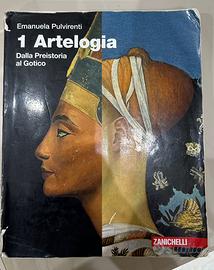 LIBRO ARTEOLOGIA (zannichelli)