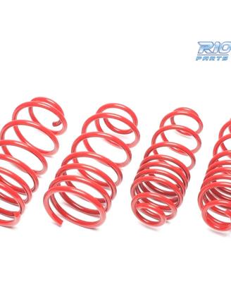 KIT MOLLE SPORTIVE PER SKODA