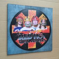 Vinile a quadro omaggio ai Red Hot Chili Peppers