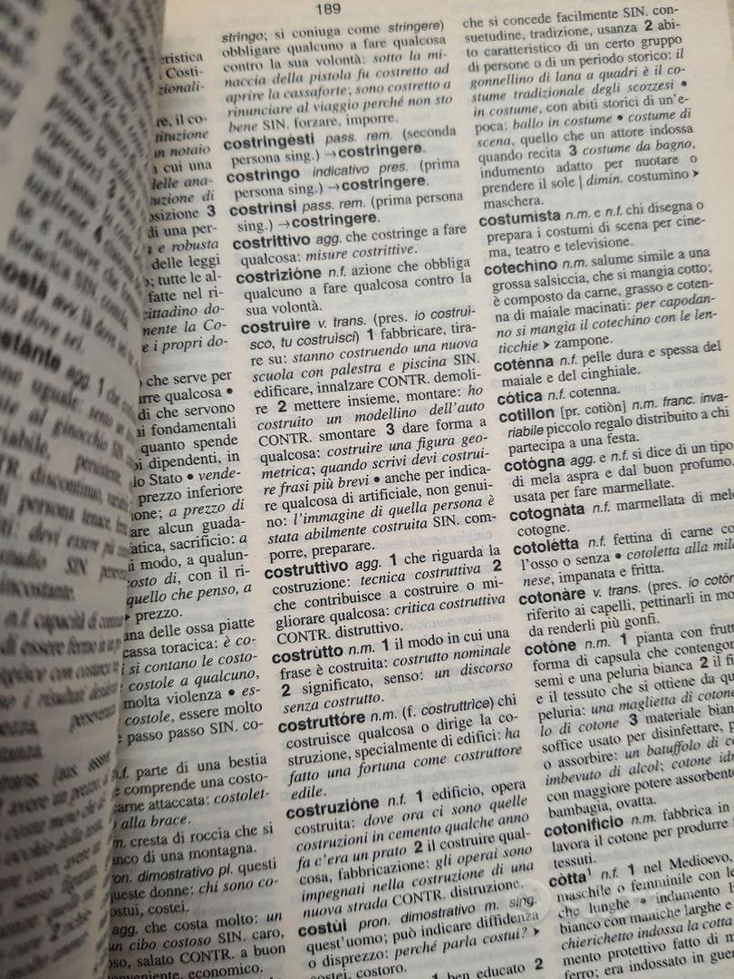 Dizionario Miot - Libri e Riviste In vendita a Prato