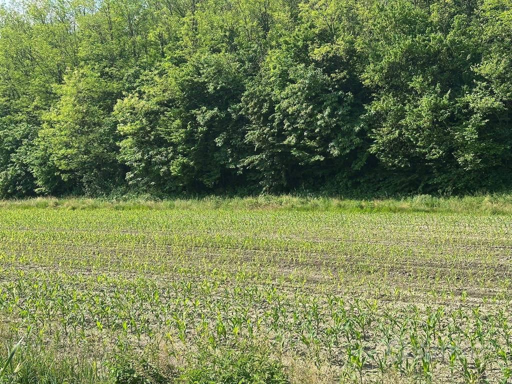 Terreno di 3845 m² a Sirone - Altro