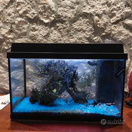 Acquario Juwel 60L