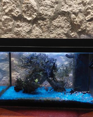 Acquario Juwel 60L