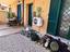 Immagine 6