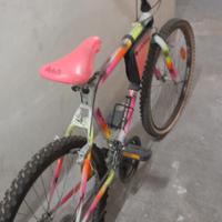 Mtb Boeris