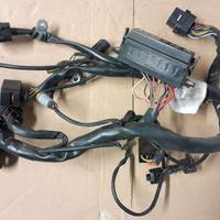 Cablaggio anteriore Ducati Sport Touring ST3