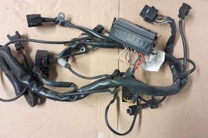 Cablaggio anteriore Ducati Sport Touring ST3