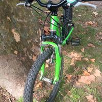 Mountain Bike 20 Specialized 