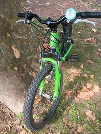 Mountain Bike 20 Specialized 