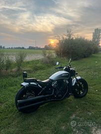 Indian scout bobber