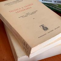 Tecnica e teoria letteraria