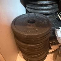 Set dischi ghisa per manubri (1, 2, 5 kg)