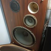 altoparlanti HiFi potenza 100 watt 