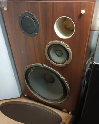 altoparlanti HiFi potenza 100 watt 