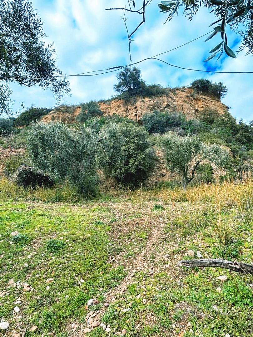 Terreno Agricolo con Ulivi e Rudere edificabile - Vista 2
