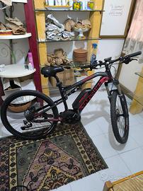 bicicletta elettrica MTB Brush Whistle 