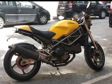 ducati monster