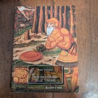 Peter Tremayne - Nostra Signora delle Tenebre