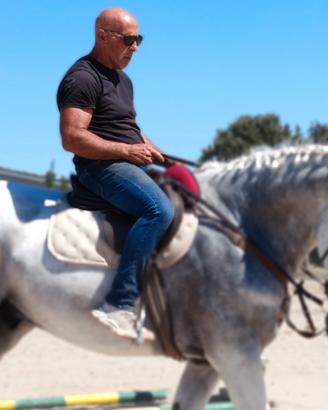 Cavallo