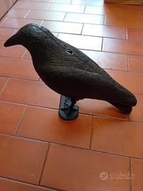 corvo scaccia piccioni