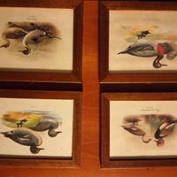 N. 4 stampe classiche con cornice di legno