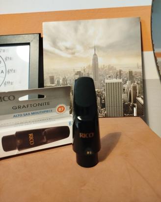 Rico Royal B 7 sax Alto 