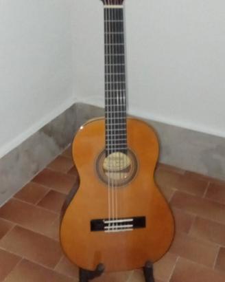 chitarra 1/4 per bambini 