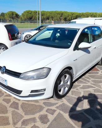 Volkswagen Golf 1.4 TGI 5p. Highline BlueMotion